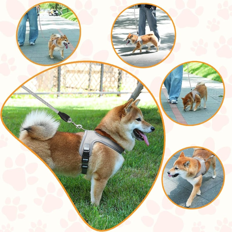Breathable Dog Harness with Reflective Leash
