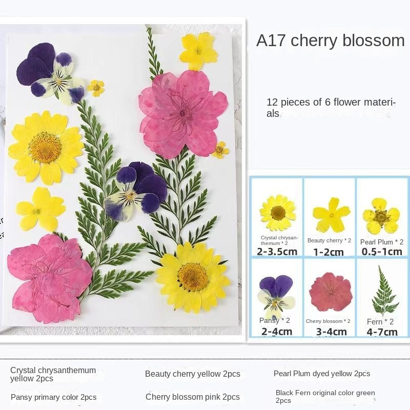 Transparent Dried Flower Bookmarks