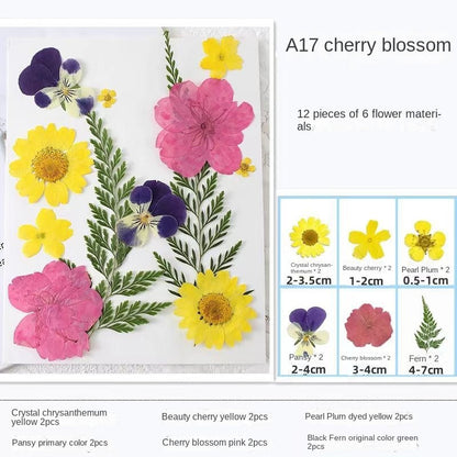 Transparent Dried Flower Bookmarks