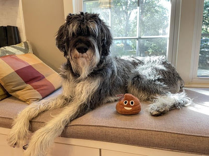 Funny Poop Plush Toy – Makes Fart Sounds!