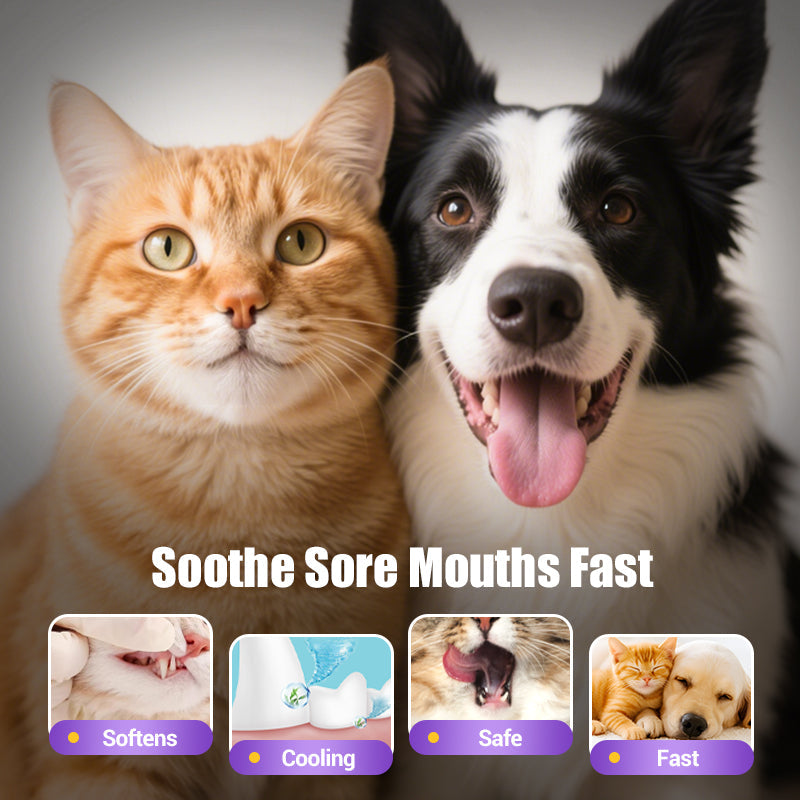 BUY 1 GET 1 FREE🐶🦷Pet Oral Repair Gel Toothbrush