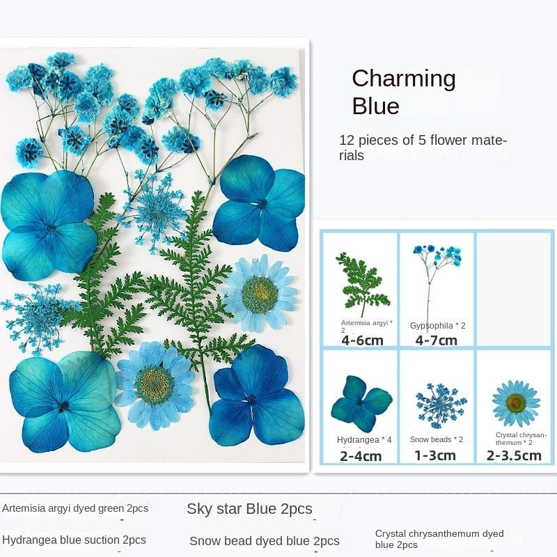 Transparent Dried Flower Bookmarks