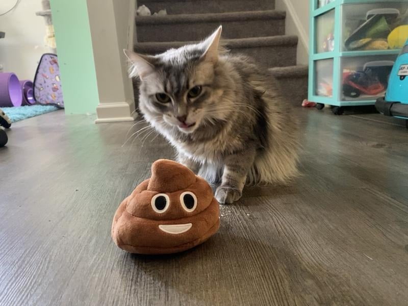 Funny Poop Plush Toy – Makes Fart Sounds!