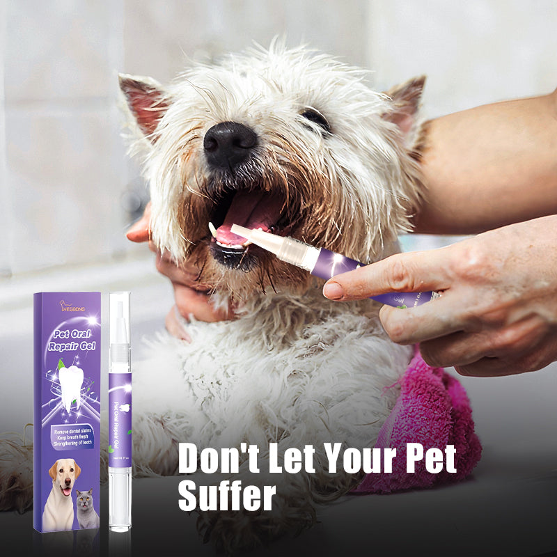 BUY 1 GET 1 FREE🐶🦷Pet Oral Repair Gel Toothbrush