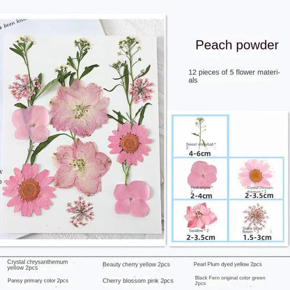 Transparent Dried Flower Bookmarks