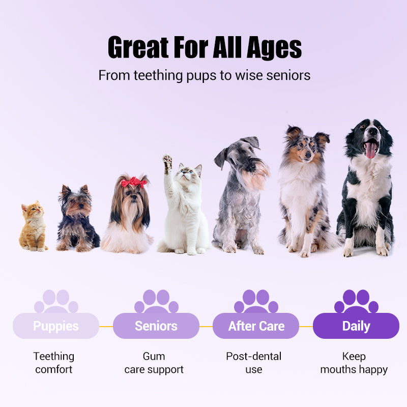 BUY 1 GET 1 FREE🐶🦷Pet Oral Repair Gel Toothbrush