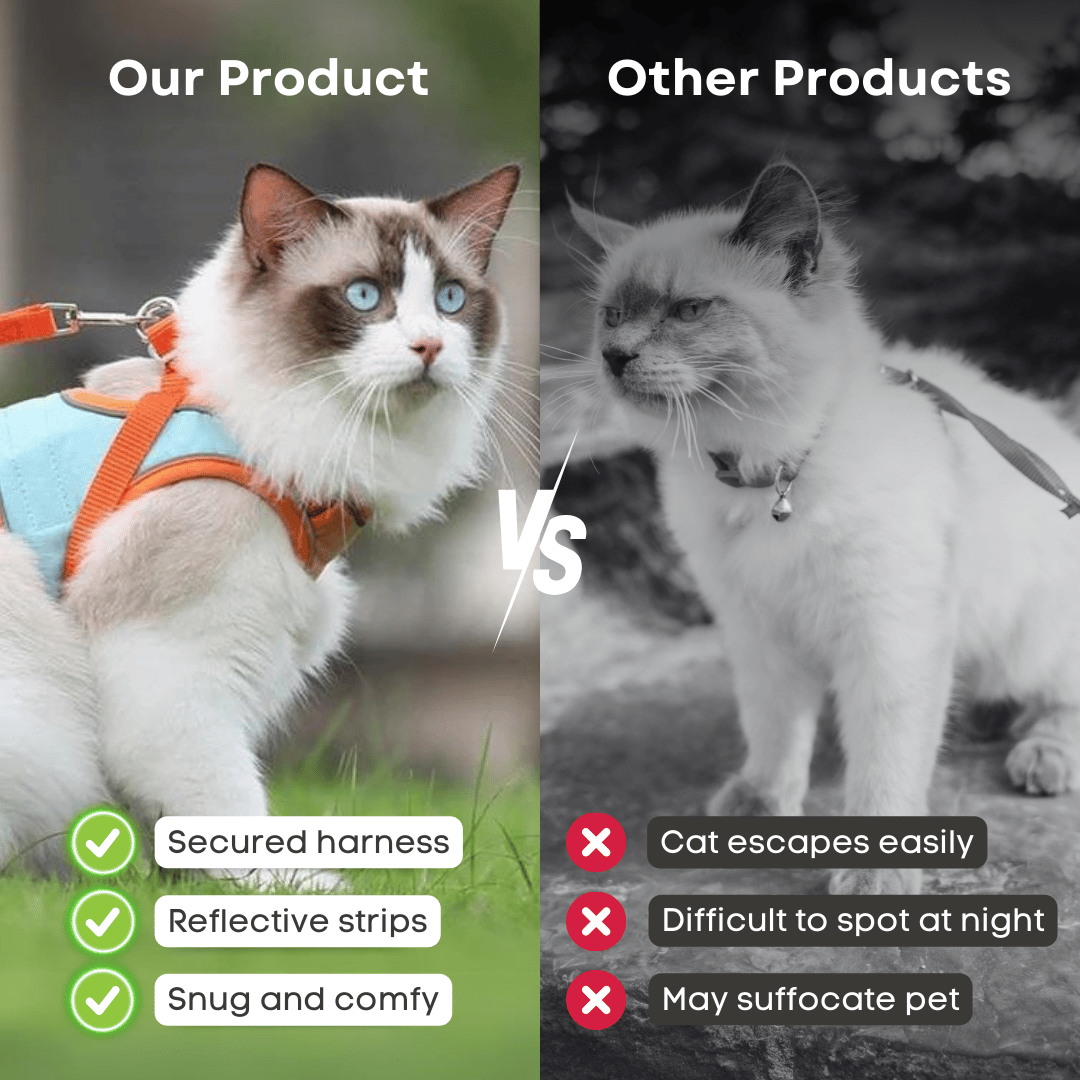 Cat Harness & Leash