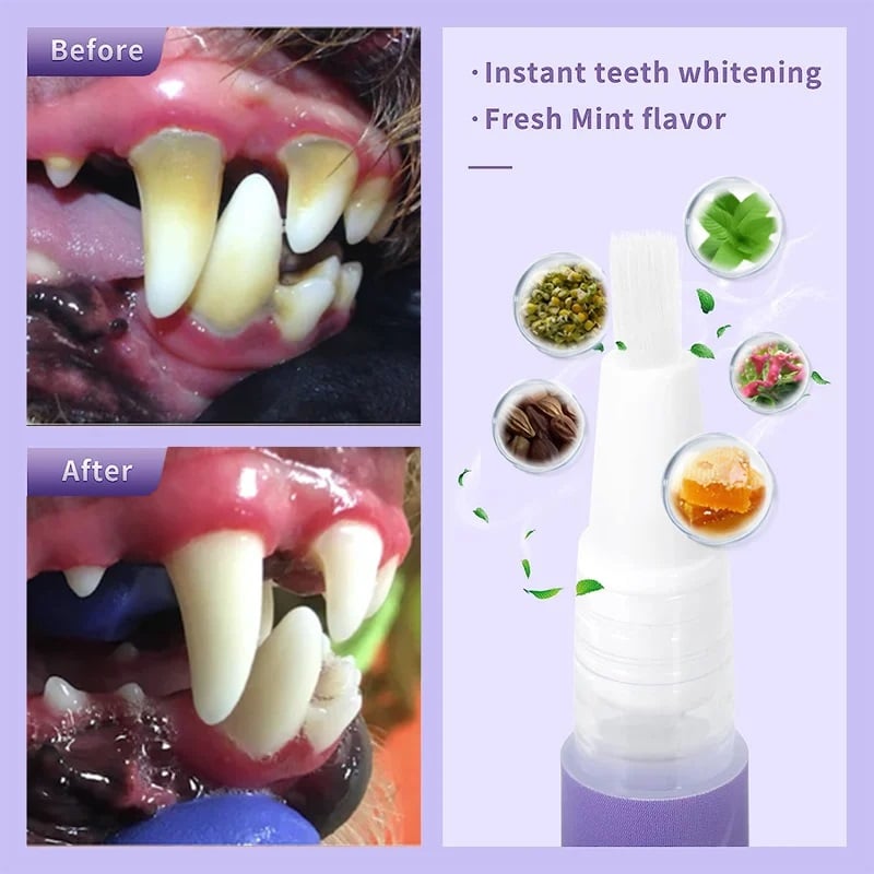 BUY 1 GET 1 FREE🐶🦷Pet Oral Repair Gel Toothbrush